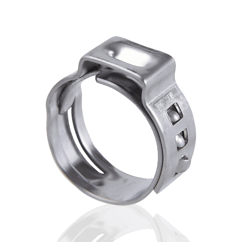 Una aurem sine fraude fibulae