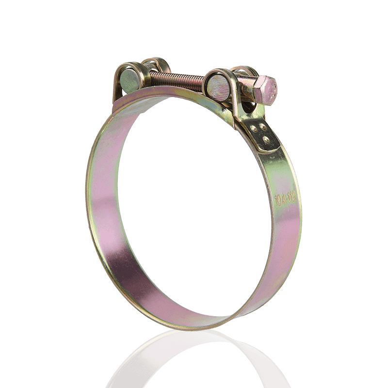 Unum caput solidum fortis Fibulae